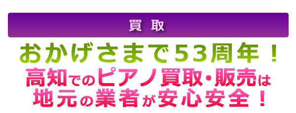 ܂53NInimj̋Ǝ҂SESI